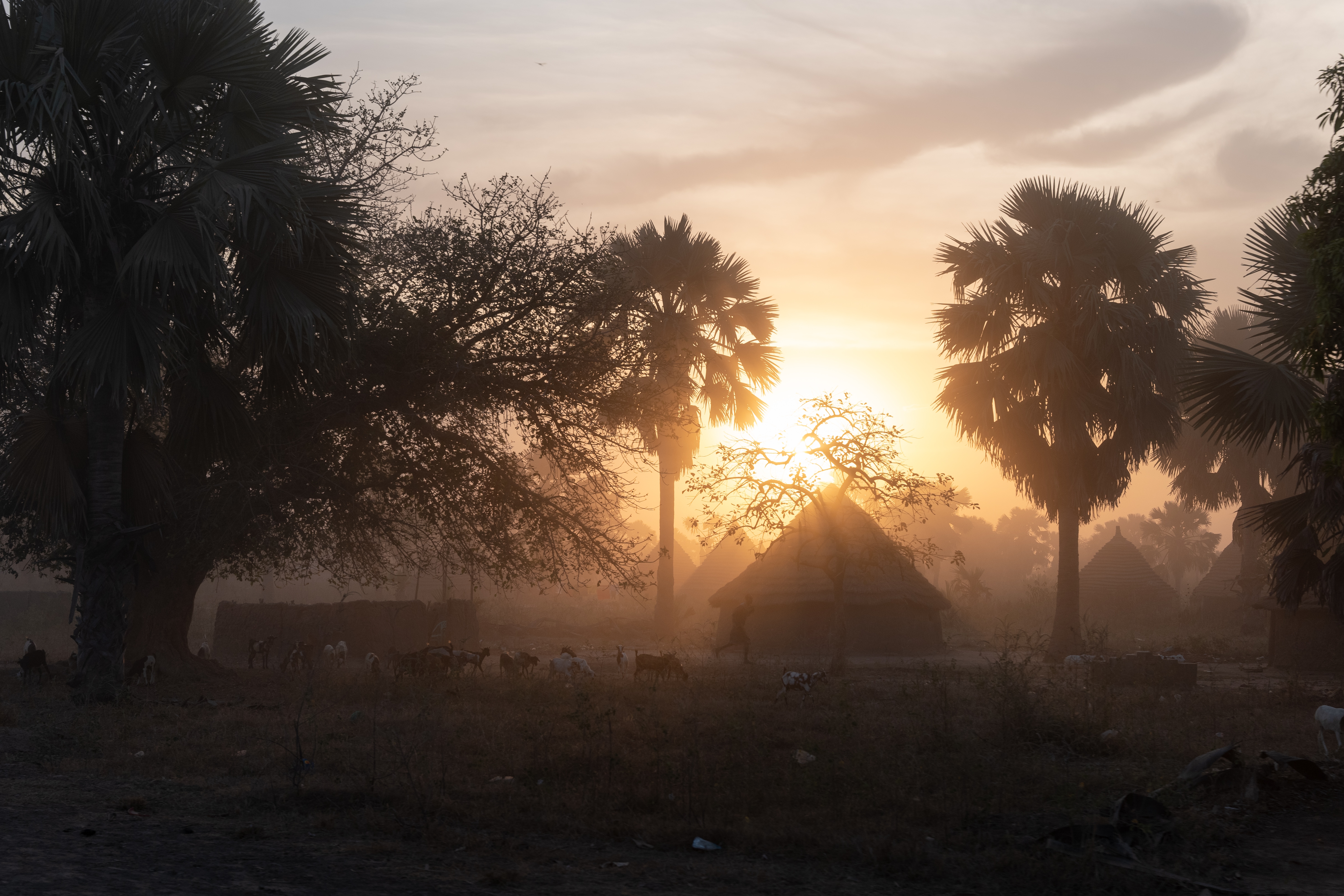 Agustin Marquez Photo