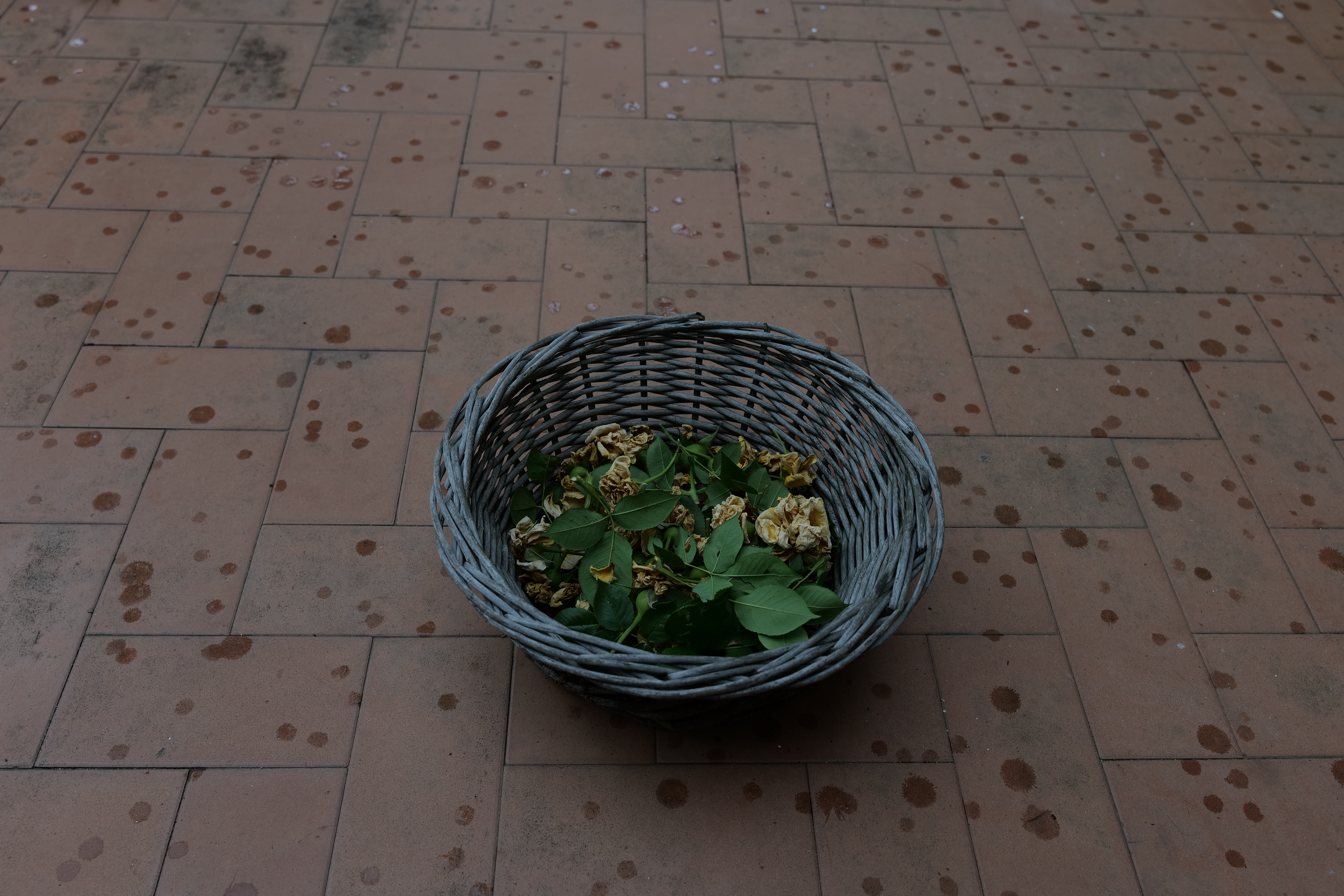 Agustin Marquez Photo